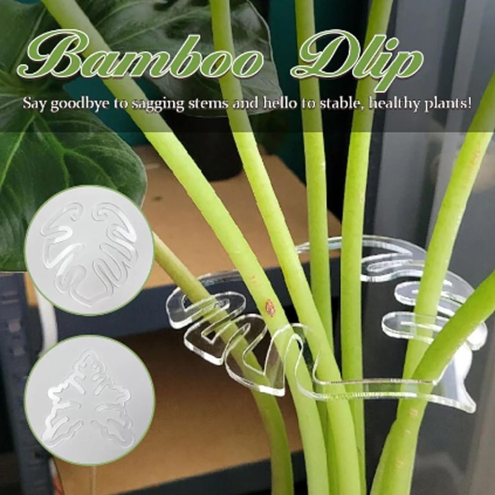 Florist Supply Bulk - 1/2PCS Reusable Turtle Shell Bamboo Clamp