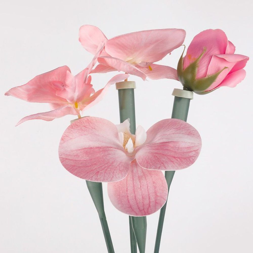 Florist Supply Shop - Floral Preservative Tubes Transparent Plastic Vials