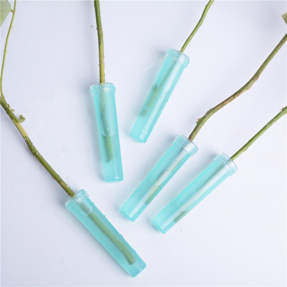 20Pcs Floral Water Tubes 4.1x1 - đánh giá và giá Stem Extender Tube