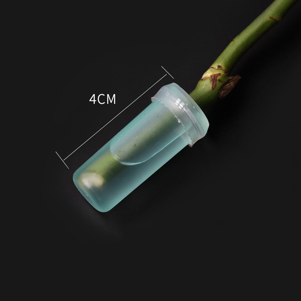20Pcs Floral Water Tubes 4.1x1 - đánh giá và giá Stem Extender Tube