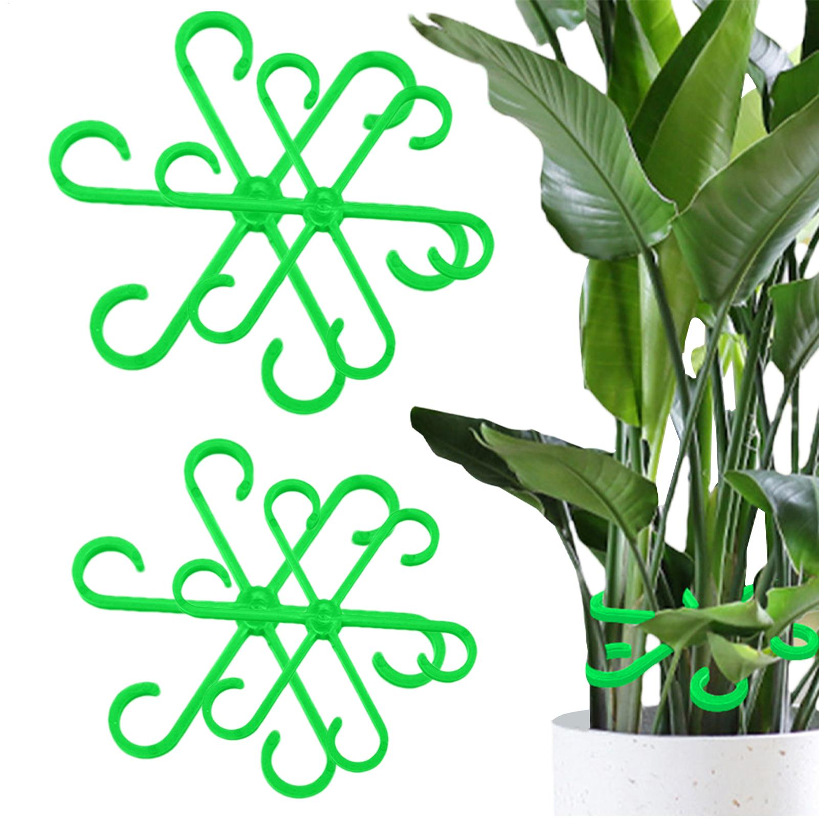4pcs Plant Stem Support Clips  - đánh giá và giá Florist Supply Bulk