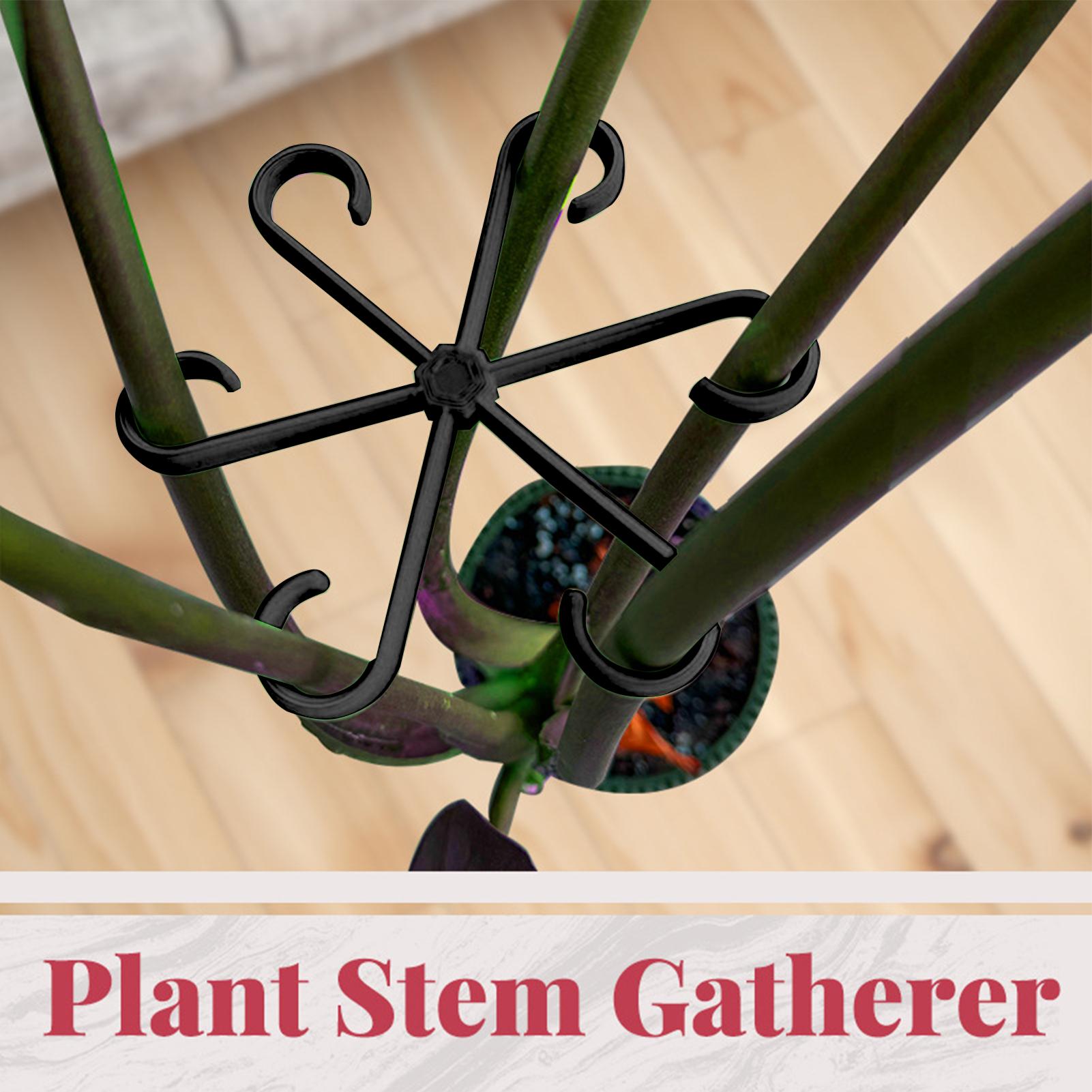 4pcs Plant Stem Support Clips  - đánh giá và giá Florist Supply Bulk
