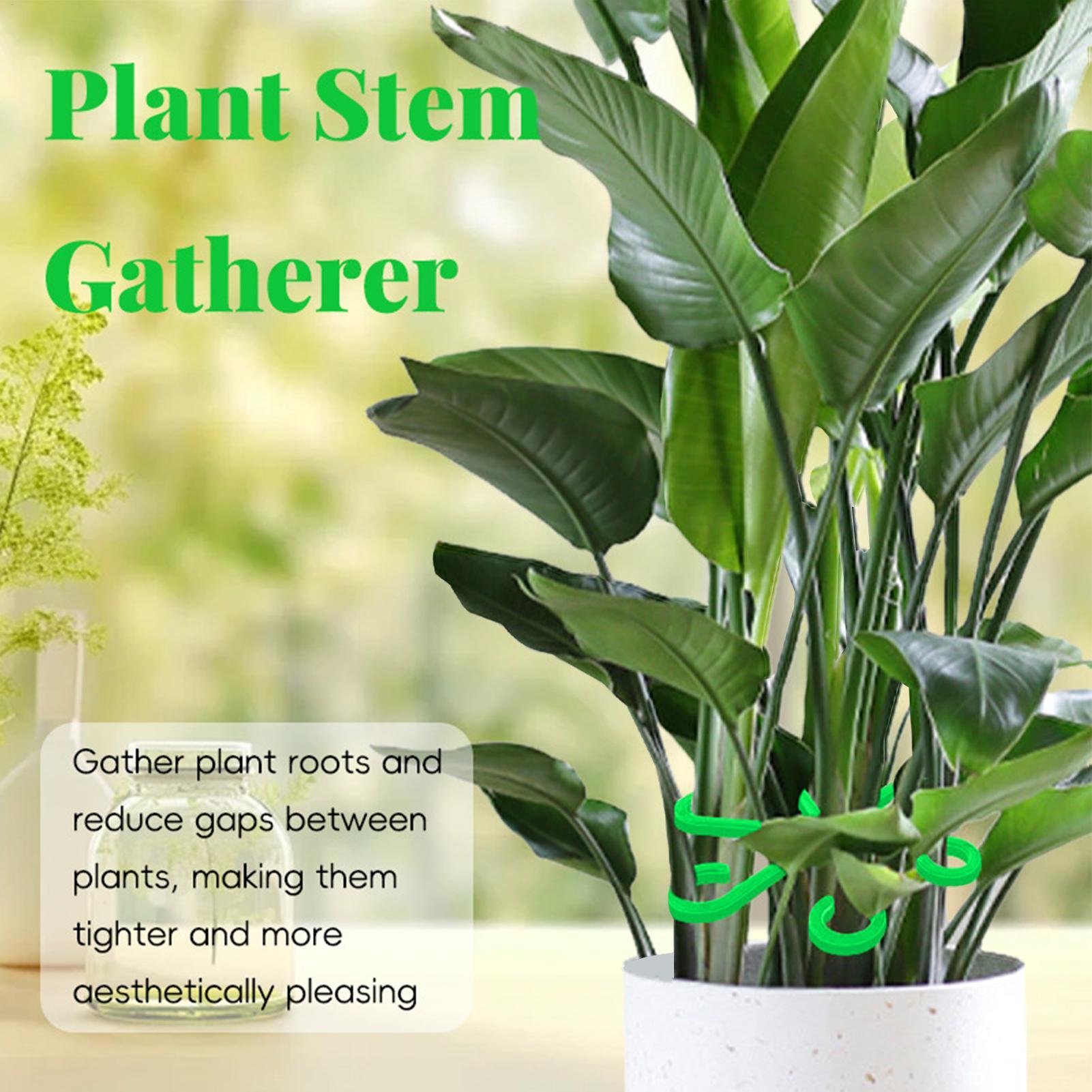 4pcs Plant Stem Support Clips  - đánh giá và giá Florist Supply Bulk