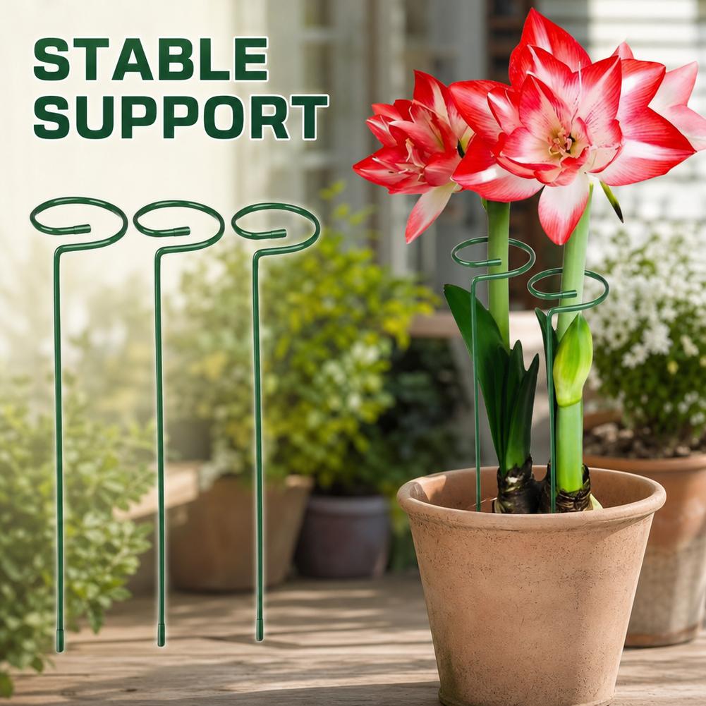 Metal Plant Support Rods Garde - đánh giá và giá Florist Supply Bulk