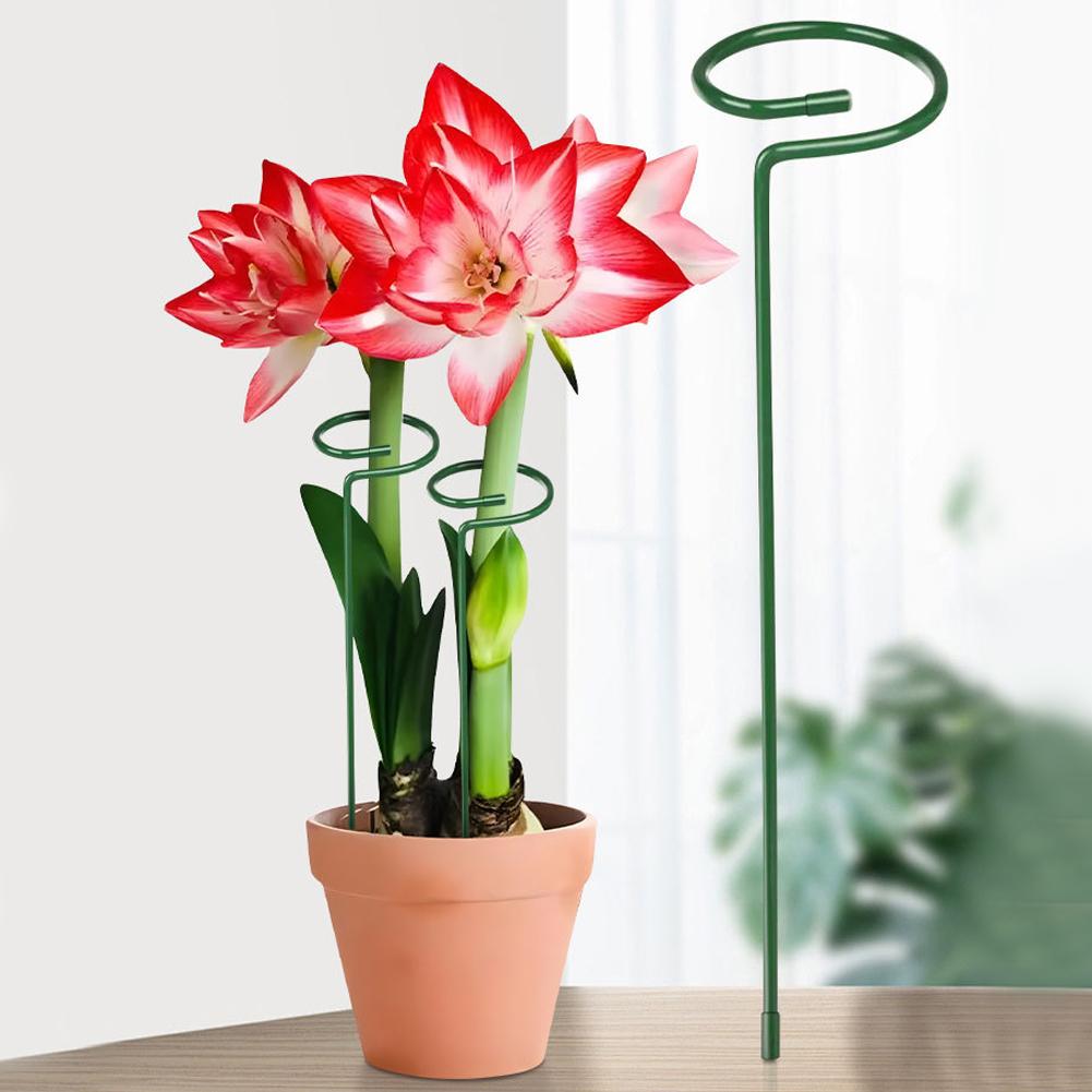 Metal Plant Support Rods Garde - đánh giá và giá Florist Supply Bulk