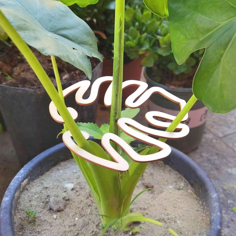 1/2PCS Reusable Turtle Shell B - đánh giá và giá Florist Supply Bulk