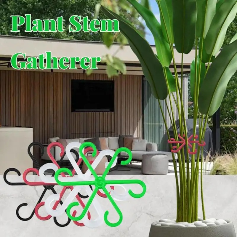 Plant Stem Support Clamp Monst - đánh giá và giá Florist Supply Bulk