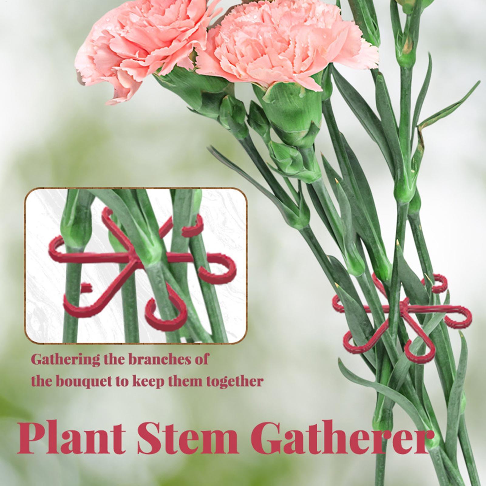 4pc Plant Fixing Clip Plant Cl - đánh giá và giá Florist Supply Bulk