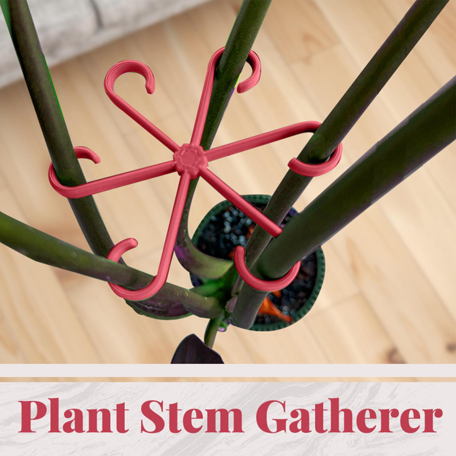 4pc Plant Fixing Clip Plant Cl - đánh giá và giá Florist Supply Bulk