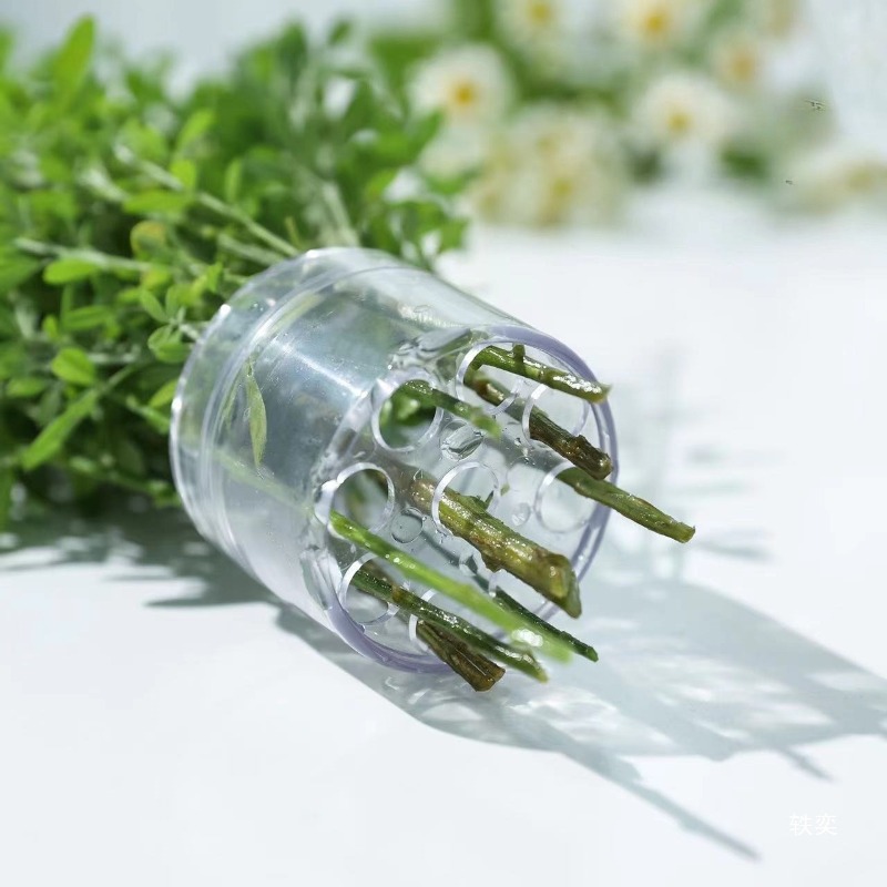 Spiral Stem Holder Sturdy Clea - đánh giá và giá Florist Supply Bulk